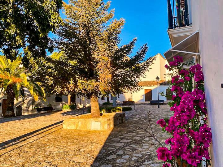 - Casita La Calma - Incredible Views, Clima Frio-calor, Wifi & Private Parking Optional * Grazalema